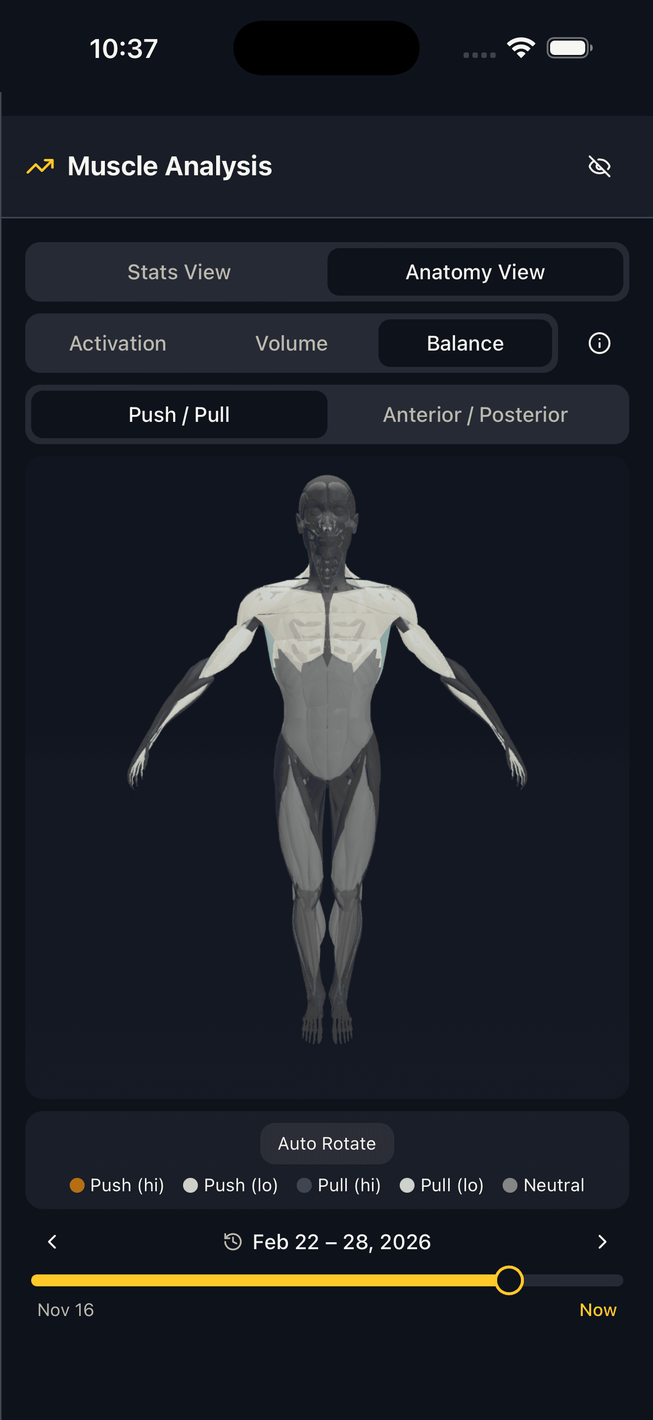 Balance view showing push/pull and anterior/posterior muscle balance on 3D model