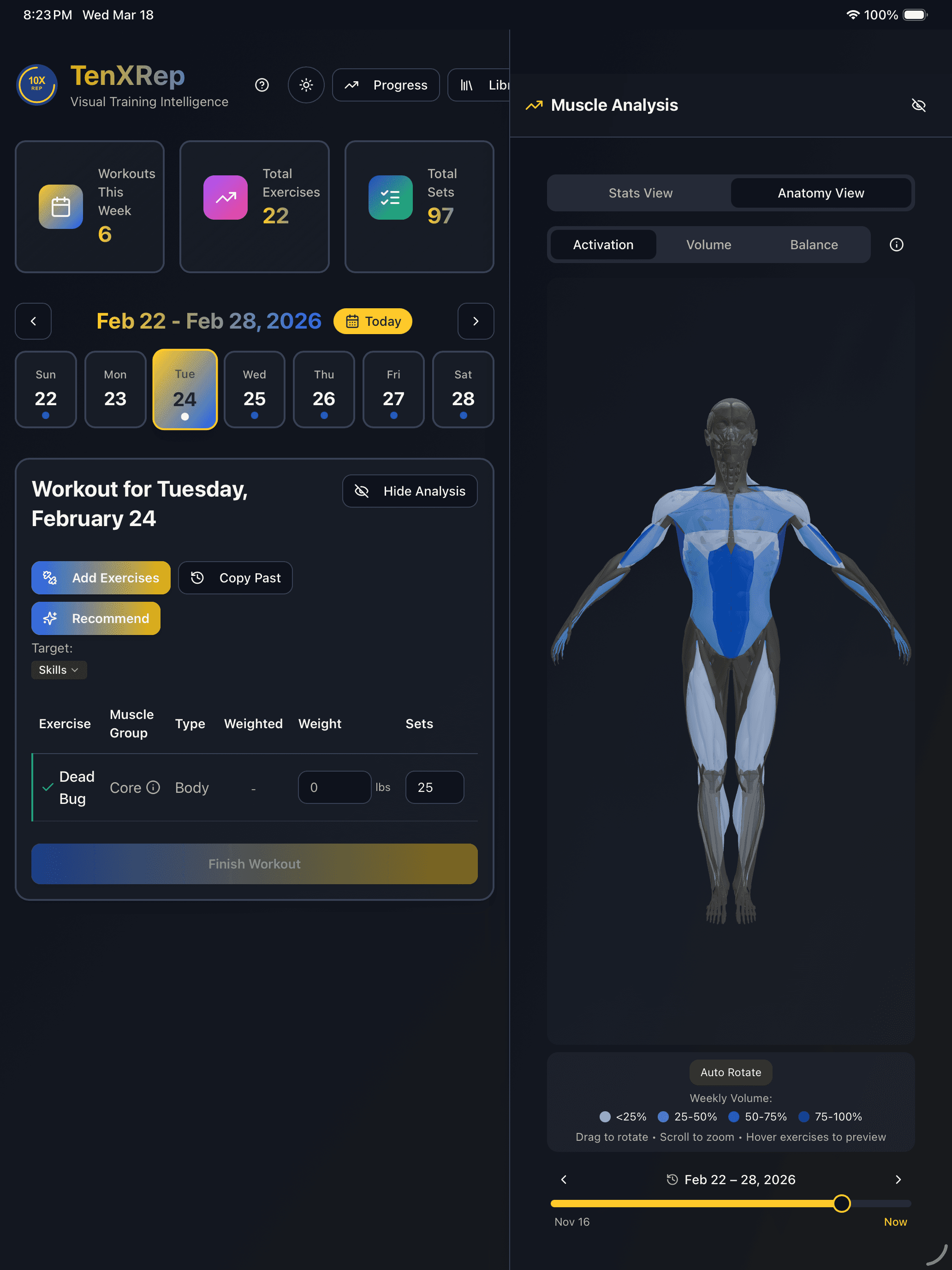 Desktop layout with workout tracking on the left and 3D muscle visualization on the right